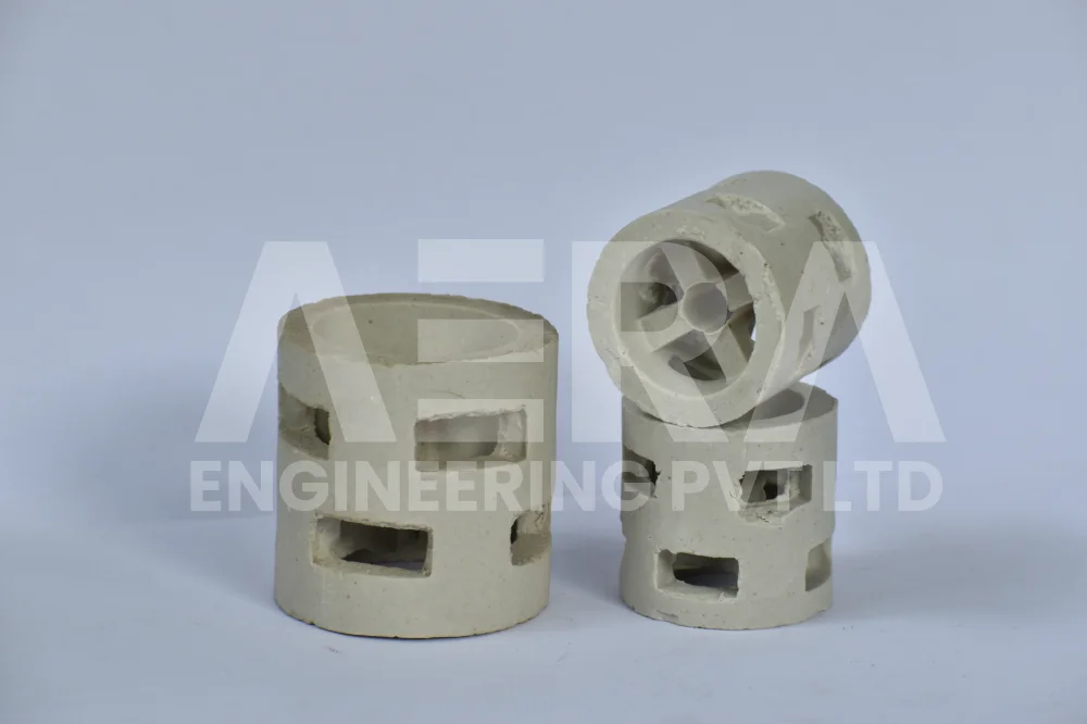 Top Ceramic P-RING manufacturer in Vadodara- Aera Engineering Pvt Ltd